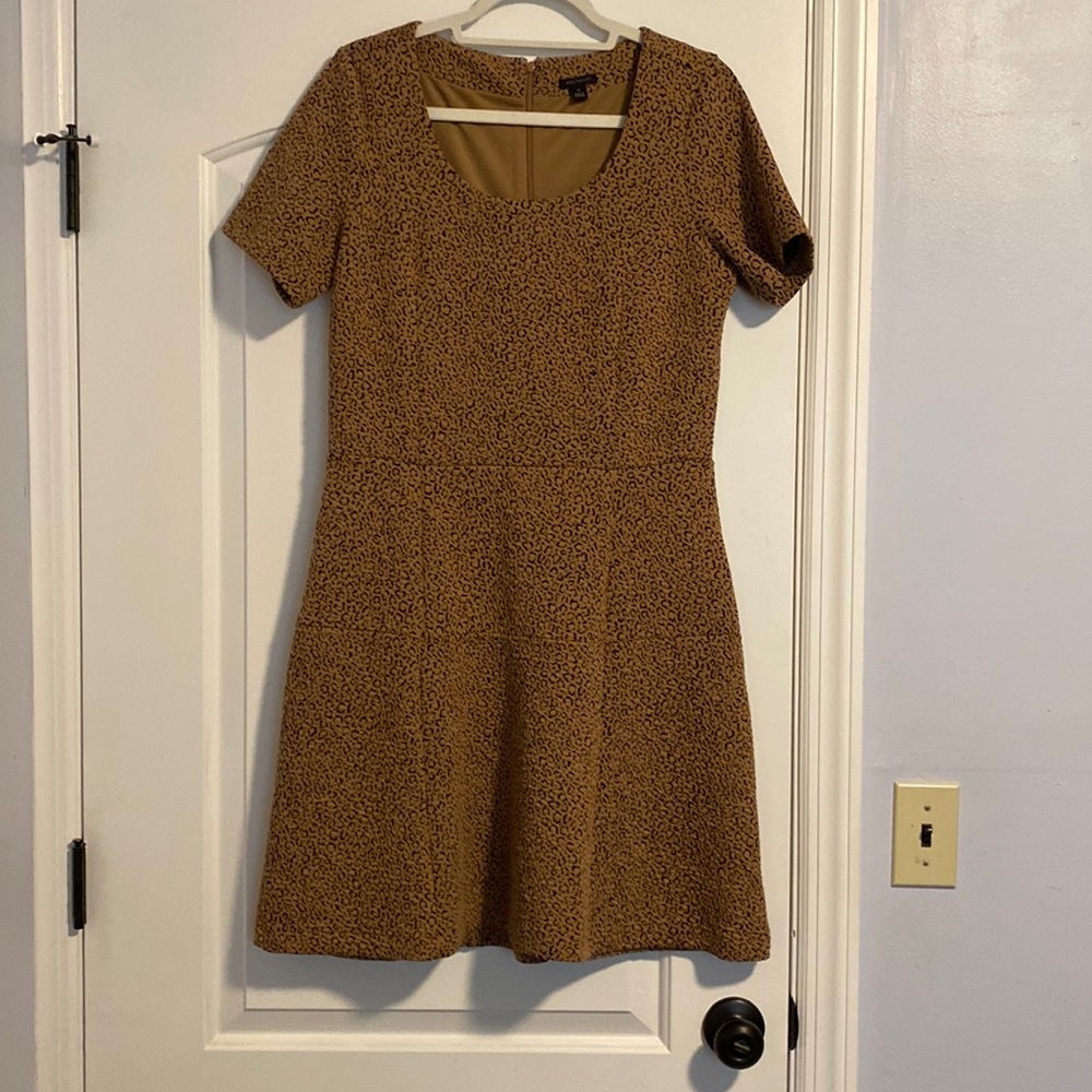 Ann Taylor Dress